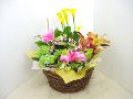 母の日 寄せかご